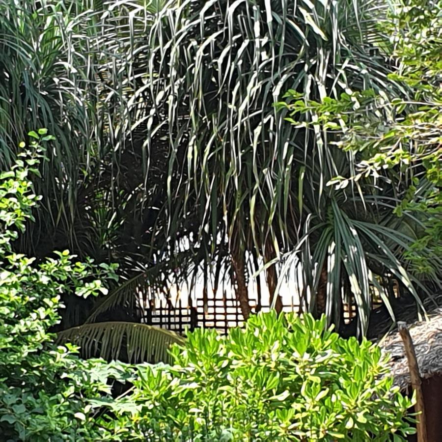 Happy Cocos Beach House Waskaduwa Bagian luar foto